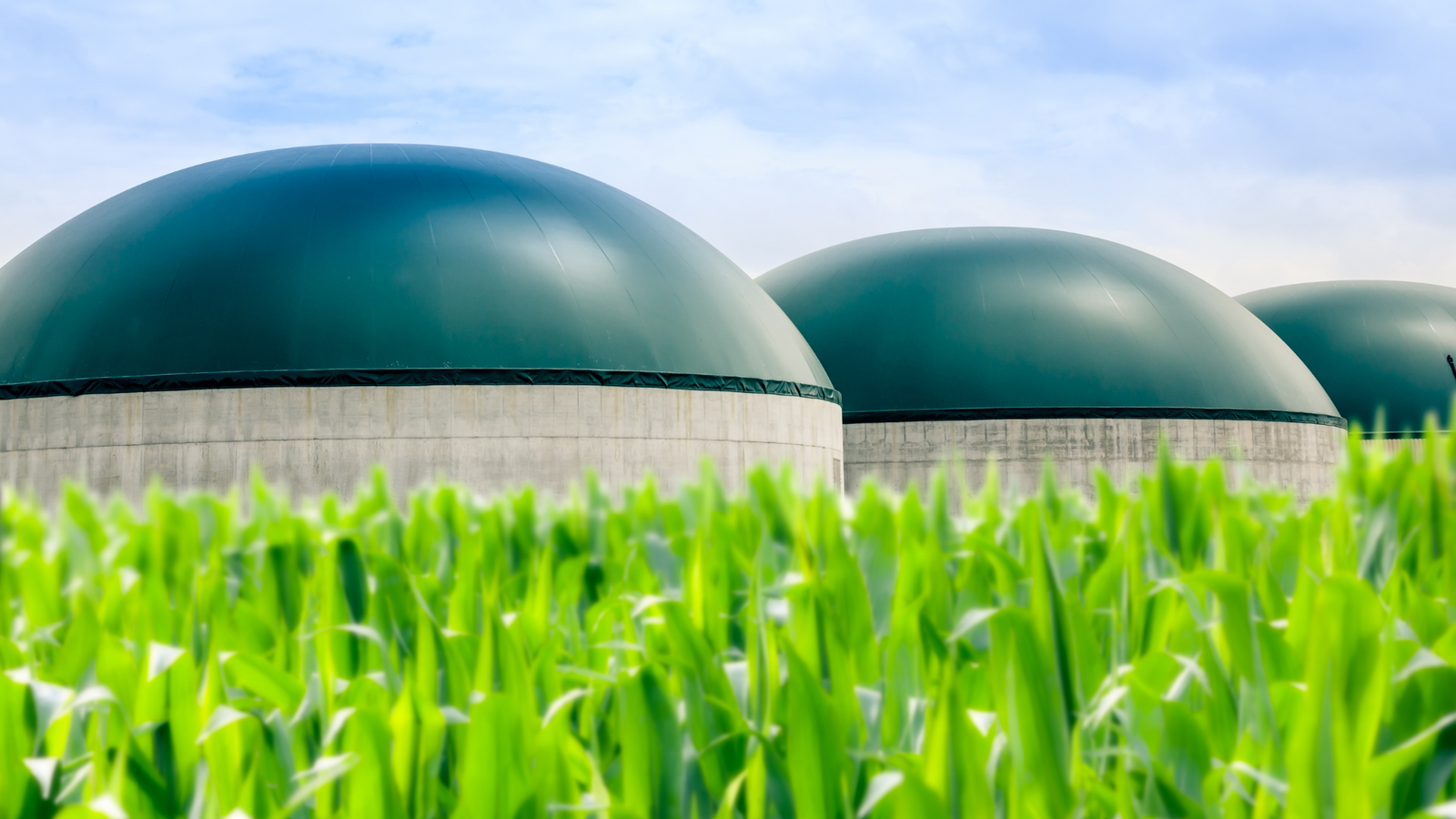 Sistemas de biogás em área agrícola